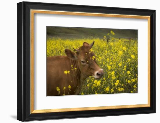 Jersey in Oregon-David Winston-Framed Giclee Print