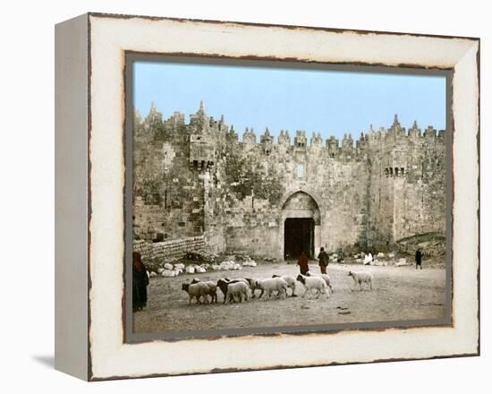 Jerusalem: Damascus Gate-null-Framed Premier Image Canvas