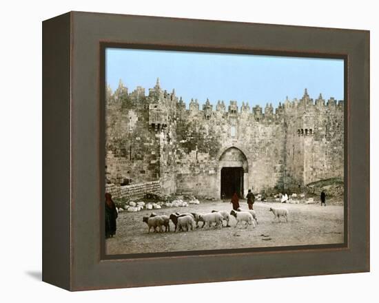 Jerusalem: Damascus Gate-null-Framed Premier Image Canvas