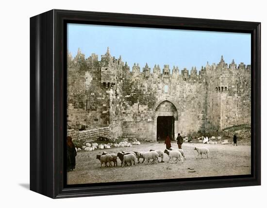 Jerusalem: Damascus Gate-null-Framed Premier Image Canvas