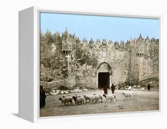 Jerusalem: Damascus Gate-null-Framed Premier Image Canvas