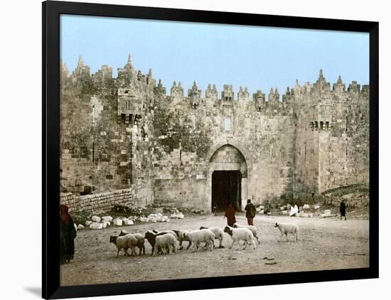 Photographic Print, , large