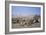 Jerusalem from the Environs-Charles Theodore Frere-Framed Art Print