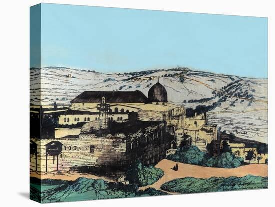 Stretched Canvas Print, , large