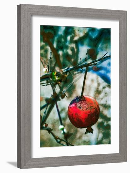 Jerusalem Pomegranate, 2016-Joy Lions-Framed Giclee Print