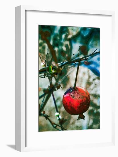 Jerusalem Pomegranate, 2016-Joy Lions-Framed Giclee Print