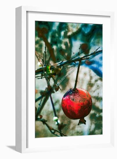 Jerusalem Pomegranate, 2016-Joy Lions-Framed Giclee Print