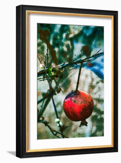 Jerusalem Pomegranate, 2016-Joy Lions-Framed Giclee Print