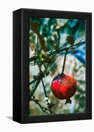 Jerusalem Pomegranate, 2016-Joy Lions-Framed Premier Image Canvas