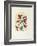 Jerusalem Windows : Asher (Sketch)-Marc Chagall-Framed Collectable Print