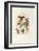 Jerusalem Windows : Asher (Sketch)-Marc Chagall-Framed Collectable Print