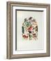 Jerusalem Windows : Gad (Sketch)-Marc Chagall-Framed Collectable Print