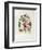 Jerusalem Windows : Gad (Sketch)-Marc Chagall-Framed Collectable Print