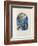 Jerusalem Windows : Ruben (Sketch)-Marc Chagall-Framed Collectable Print