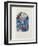 Jerusalem Windows : Ruben (Sketch)-Marc Chagall-Framed Collectable Print