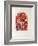 Jerusalem Windows : Zabulon (Sketch)-Marc Chagall-Framed Collectable Print