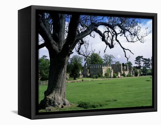 Jervaux Abbey Near Masham, North Yorkshire, Yorkshire, England, United Kingdom-Kathy Collins-Framed Premier Image Canvas