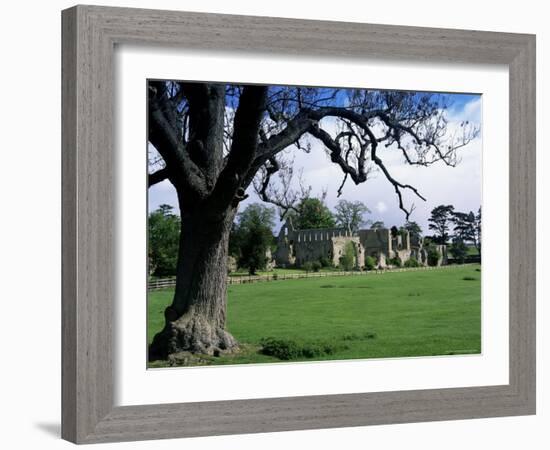 Jervaux Abbey Near Masham, North Yorkshire, Yorkshire, England, United Kingdom-Kathy Collins-Framed Photographic Print
