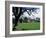 Jervaux Abbey Near Masham, North Yorkshire, Yorkshire, England, United Kingdom-Kathy Collins-Framed Photographic Print