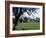 Jervaux Abbey Near Masham, North Yorkshire, Yorkshire, England, United Kingdom-Kathy Collins-Framed Photographic Print