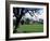 Jervaux Abbey Near Masham, North Yorkshire, Yorkshire, England, United Kingdom-Kathy Collins-Framed Photographic Print