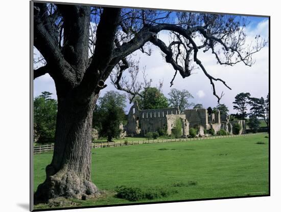 Jervaux Abbey Near Masham, North Yorkshire, Yorkshire, England, United Kingdom-Kathy Collins-Mounted Photographic Print