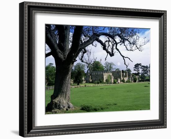 Jervaux Abbey Near Masham, North Yorkshire, Yorkshire, England, United Kingdom-Kathy Collins-Framed Photographic Print