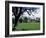 Jervaux Abbey Near Masham, North Yorkshire, Yorkshire, England, United Kingdom-Kathy Collins-Framed Photographic Print