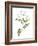 Jessamine Flower-Jasmine Woods-Framed Art Print