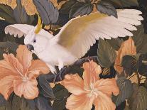 White Peacocks on Pink Hibiscus-Jesse Arms Botke-Art Print