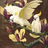 Cockatoos and Pink Hibiscus-Jesse Arms Botke-Art Print