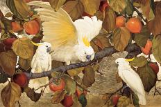 Persimmons and Cockatoos-Jesse Arms Botke-Art Print