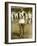 Jesse Owens at the Berlin Olympics, 1936-null-Framed Photographic Print