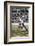 Jesse Owens at the start of the 200 metres at the Berlin Olympic Games, 1936-Unknown-Framed Photographic Print