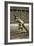 Jesse Owens at the Start of the 200m Race at the 1936 Berlin Olympics-null-Framed Giclee Print