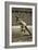 Jesse Owens at the Start of the 200m Race at the 1936 Berlin Olympics-null-Framed Giclee Print