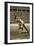 Jesse Owens at the Start of the 200m Race at the 1936 Berlin Olympics-null-Framed Giclee Print