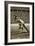 Jesse Owens at the Start of the 200m Race at the 1936 Berlin Olympics-null-Framed Giclee Print