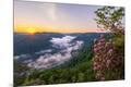 Premium Photographic Print