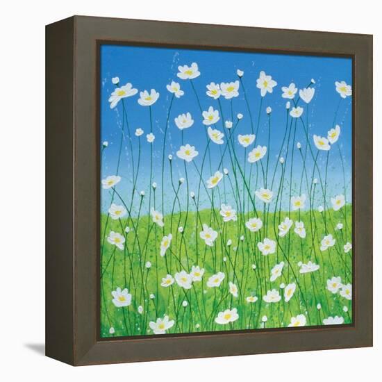 Jesses Daises-Herb Dickinson-Framed Premier Image Canvas