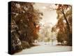 Stretched Canvas Print