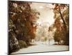 Photographic Print