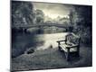 Giclee Print