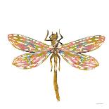 Dainty Dragonfly-Jessica Mingo-Art Print