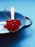 Redcurrants on Spoon-Jessica Shaver-Photographic Print