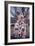 Jesuit Cheerleaders in a Tree, 2002-Joe Heaps Nelson-Framed Giclee Print