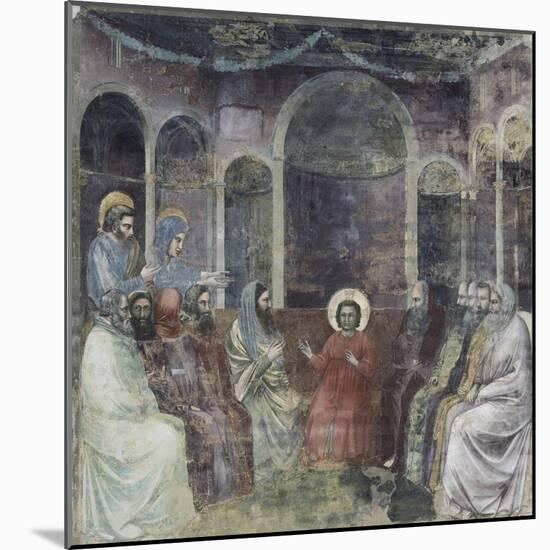 Jesus Among the Doctors-Giotto di Bondone-Mounted Giclee Print