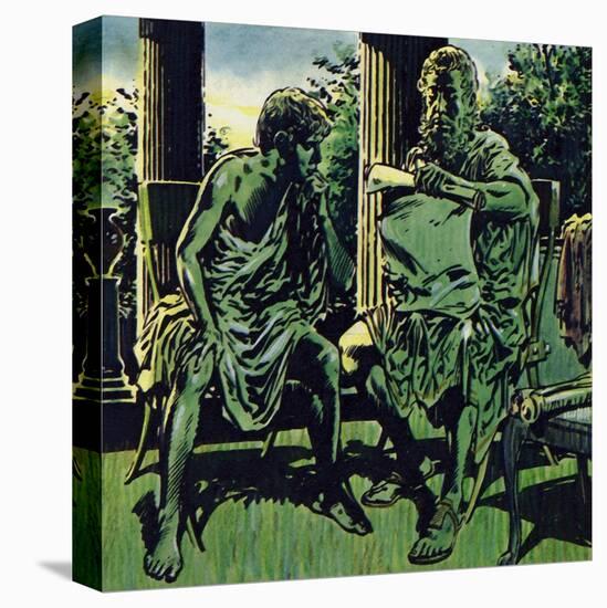Stretched Canvas Print, , large