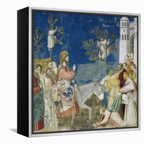 Jesus' Entry into Jerusalem, Detail from Life and Passion of Christ-Giotto di Bondone-Framed Premier Image Canvas