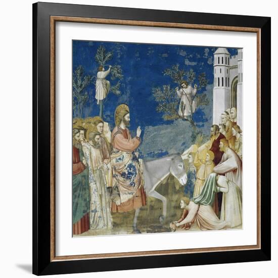 Jesus' Entry into Jerusalem, Detail from Life and Passion of Christ-Giotto di Bondone-Framed Giclee Print